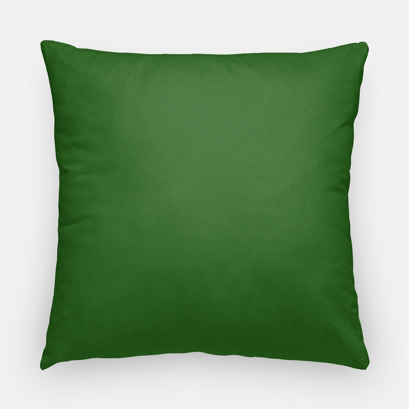 Oxford Pink Forest Green Pillow