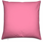 Coral Pink Pillow