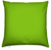 Bright Green Pillow