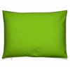 Bright Green Pillow