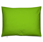 Bright Green Pillow