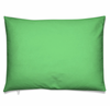 Light Green Pillow