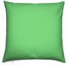 Light Green Pillow