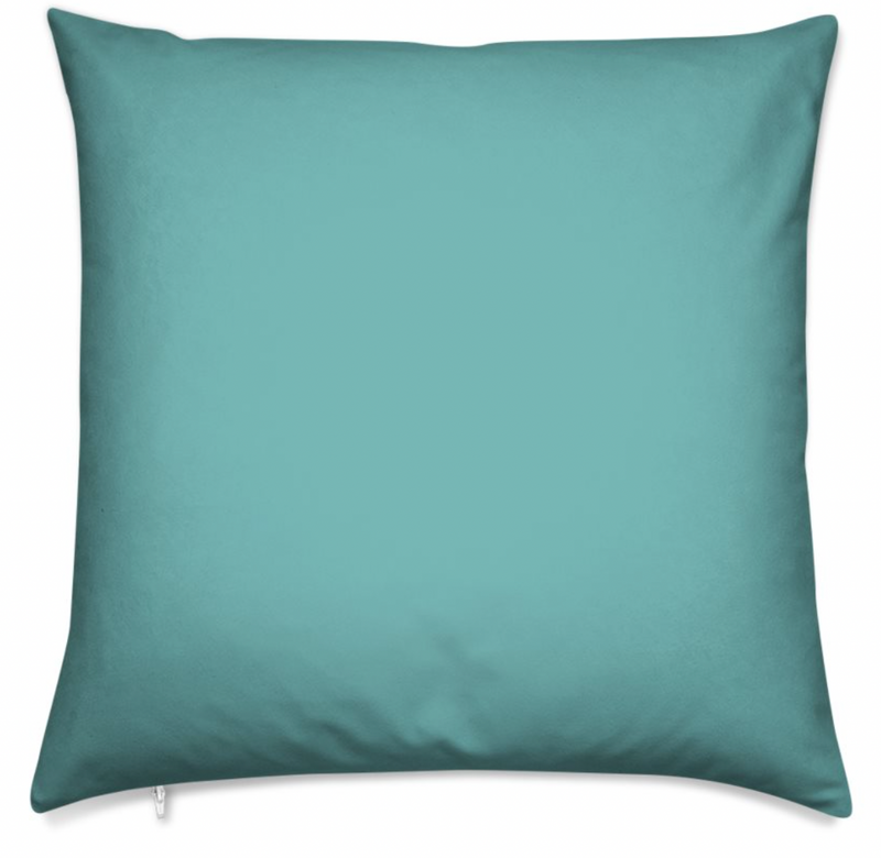 Turquoise Pillow