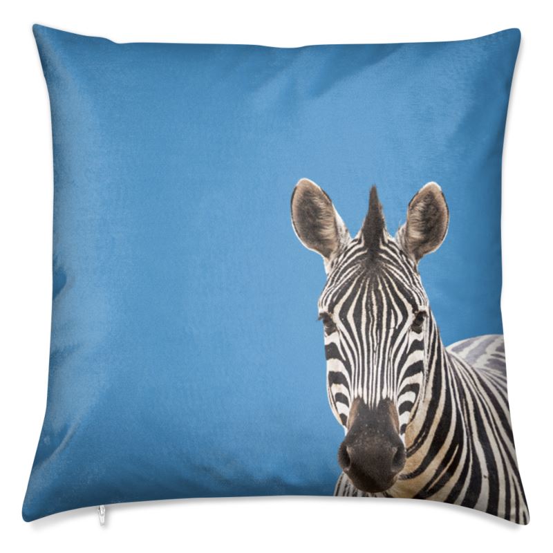 Zebra Pillow by Oxford Pink