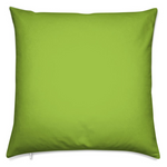 Apple Green Pillow