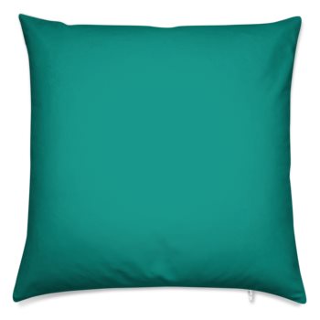 Teal Blue Pillow