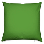 Parrot Green Pillow