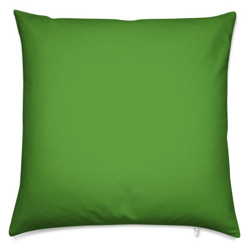 Parrot Green Pillow