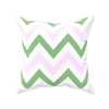 Pink and Green Herringbone Pillow