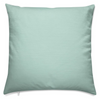 Robins Egg Blue Pillow II