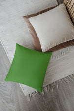 Parrot Green Pillow