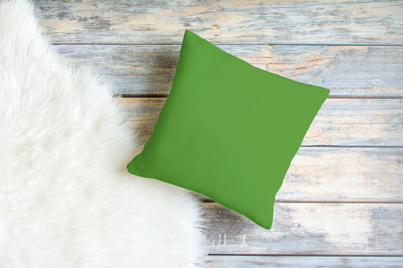 Parrot Green Pillow