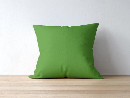 Parrot Green Pillow