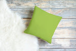 Apple Green Pillow