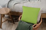 Apple Green Pillow