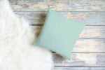 Robins Egg Blue Pillow II