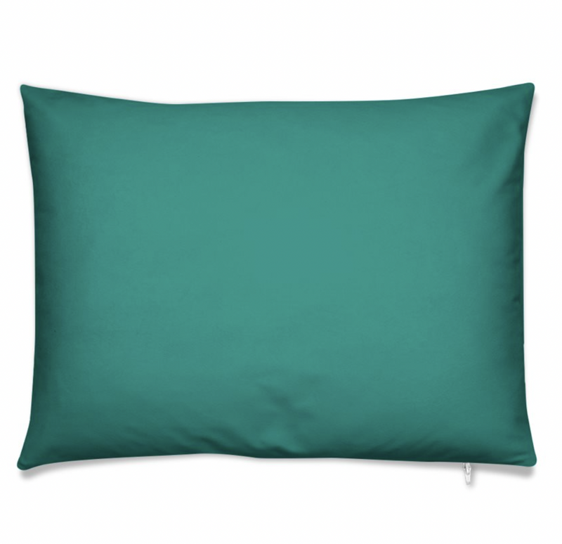 Teal Blue Pillow